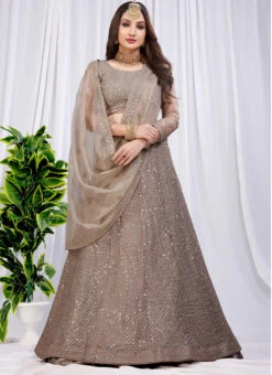 Fawn Net Sequins A Line Lehenga Party Wear 8 Fawn Net Sequins A Line Lehenga Party Wear -ZariGrace Shop fawn net sequins a line lehenga ghska467411084 u