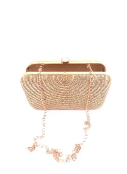 Golden Silk Hand Embroidered Work Clutch