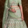 Pista Green Net Embroidered Stones Umbrella Lehenga Wedding Wear -ZariGrace Shop green net embroidered stones umbrella lehenga ghska467275014 l