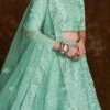 Sea Green Organza EmbroideredStones Umbrella Lehenga Wedding Wear 1 Sea Green Organza EmbroideredStones Umbrella Lehenga Wedding Wear -ZariGrace Shop green organza embroideredstones umbrella lehenga ghska467275011 l