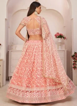 Light Pink Net Embroidery A Line Lehenga Party Wear -ZariGrace Shop light pink net embroidery a line lehenga ghskl2103 b