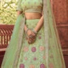 Moss Green Organza Embroidered N Stones Umbrella Lehenga Wedding Wear -ZariGrace Shop moss green organza embroidered n stones umbrella lehenga ghsak42117204 l