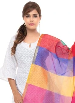 Multicolor Chanderi Cotton Dupatta Festive Wear -ZariGrace Shop multicolor chanderi cotton dupatta dpdmfmfd023 b