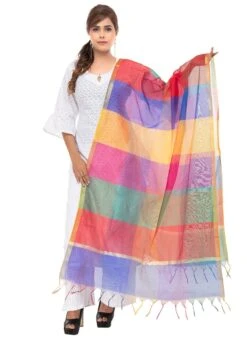 Multicolor Chanderi Cotton Dupatta Festive Wear -ZariGrace Shop multicolor chanderi cotton dupatta dpdmfmfd023 u