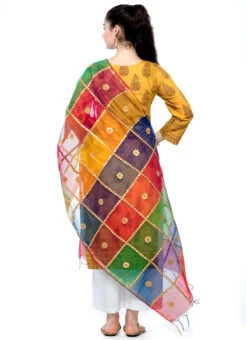 Multicolor Chanderi Cotton Gota Patti Work Dupatta Festive Wear -ZariGrace Shop multicolor chanderi cotton gota patti work dupatta dpdmfmfd005 b