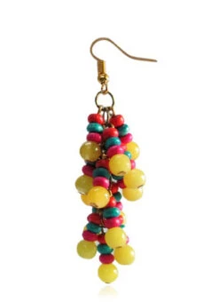 Multicolored Dangler Earrings After Six Wear