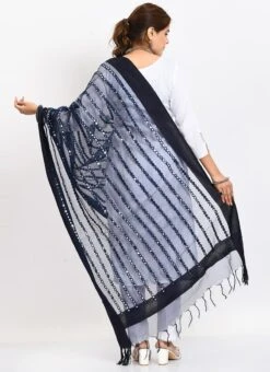 Navy Blue Organza Cotton Mirror Embroidery Dupatta Work Wear -ZariGrace Shop navy blue organza cotton mirror embroidery dupatta dpdmimfd129 b