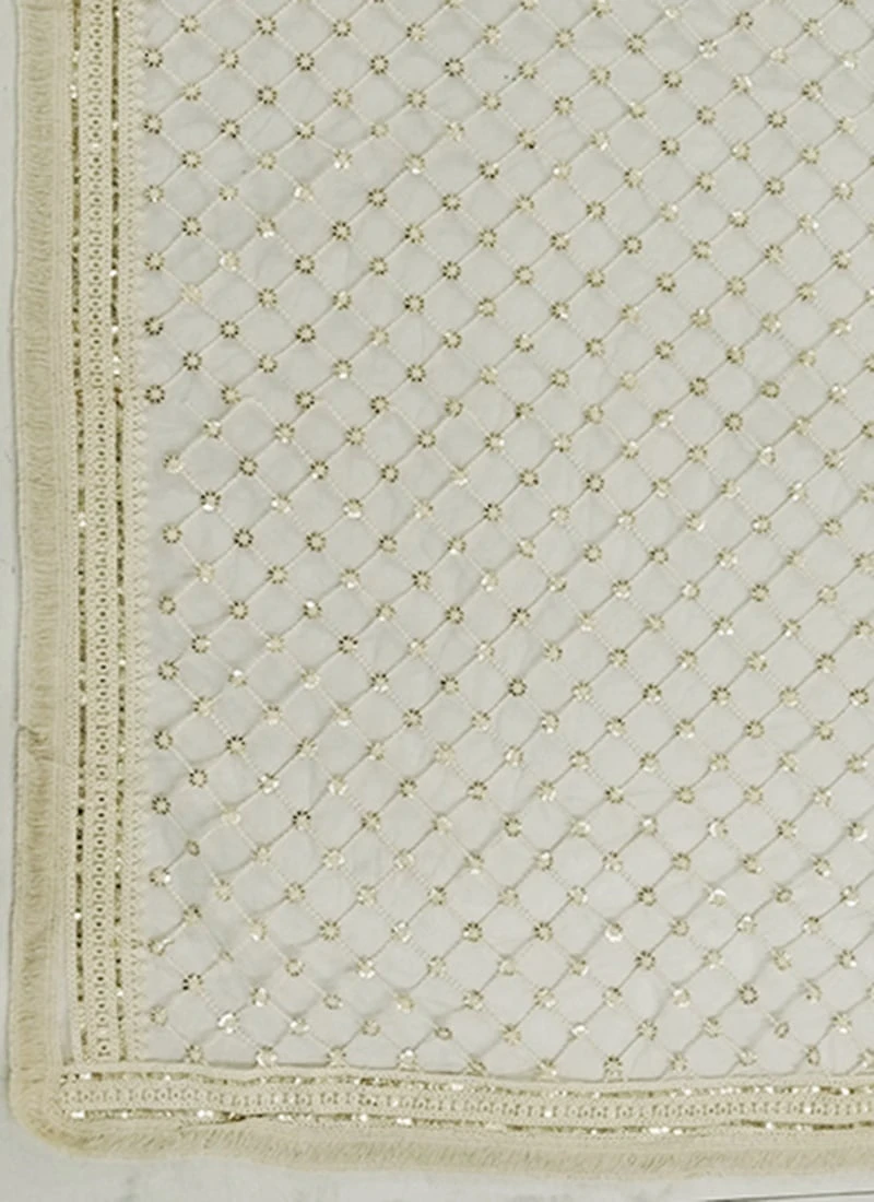 Off White Net Dupatta Party Wear 3 Off White Net Dupatta Party Wear