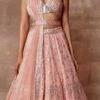 Pink Organza Embroidery Sequins Umbrella Lehenga Party Wear -ZariGrace Shop pink organza embroidery sequins umbrella lehenga ghska44212002 l