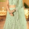 Pista Green Embroidery Stone Work Net A Line Lehenga Party Wear 1 Pista Green Embroidery Stone Work Net A Line Lehenga Party Wear -ZariGrace Shop pista green embroidery stone work net a line lehenga ghska46271044a l