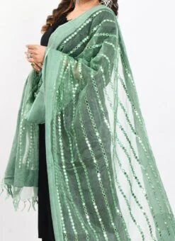 Pista Green Organza Cotton Mirror Embroidery Dupatta Work Wear