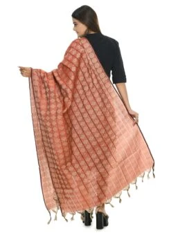 Rust Handloom Cotton Weaving Work Dupatta Work Wear -ZariGrace Shop rust handloom cotton weaving work dupatta dpdmimfd073 b