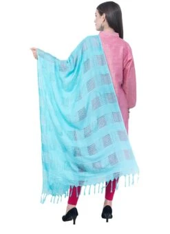 Sky Blue Cotton Weaving Work Dupatta Work Wear -ZariGrace Shop sky blue cotton weaving work dupatta dpdmimfd093 b
