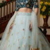 Sky Blue Net Sequins Work Umbrella Lehenga Choli Party Wear -ZariGrace Shop sky blue net sequins work umbrella lehenga choli ghsir4203 l