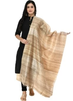 Tussar Art Silk Dupatta After Six Wear 8 Tussar Art Silk Dupatta After Six Wear -ZariGrace Shop tussar art silk dupatta dpsdmfd190 u