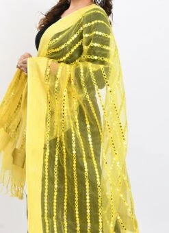 Yellow Organza Cotton Mirror Embroidery Dupatta Work Wear